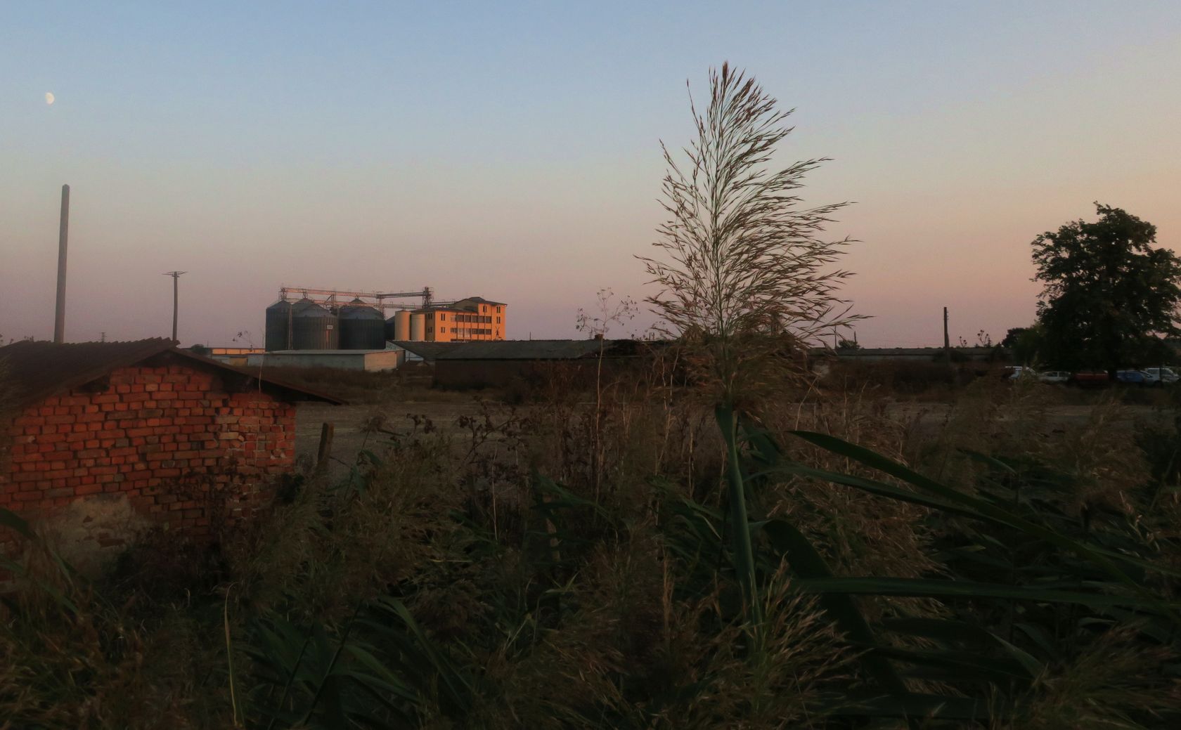 Оризаре, image of landscape/habitat.