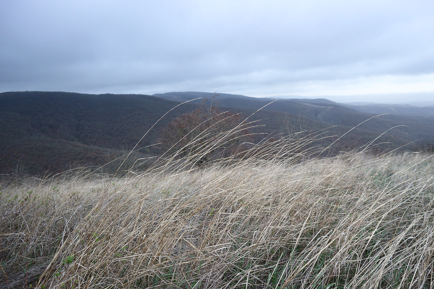 Сапун, image of landscape/habitat.