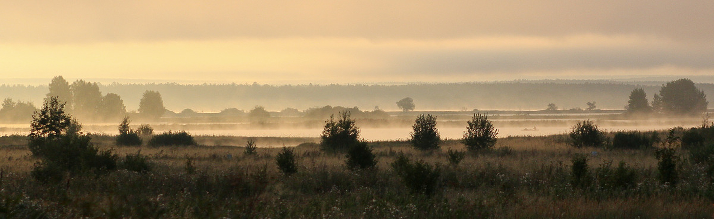 Окрестности деревни Першино, image of landscape/habitat.