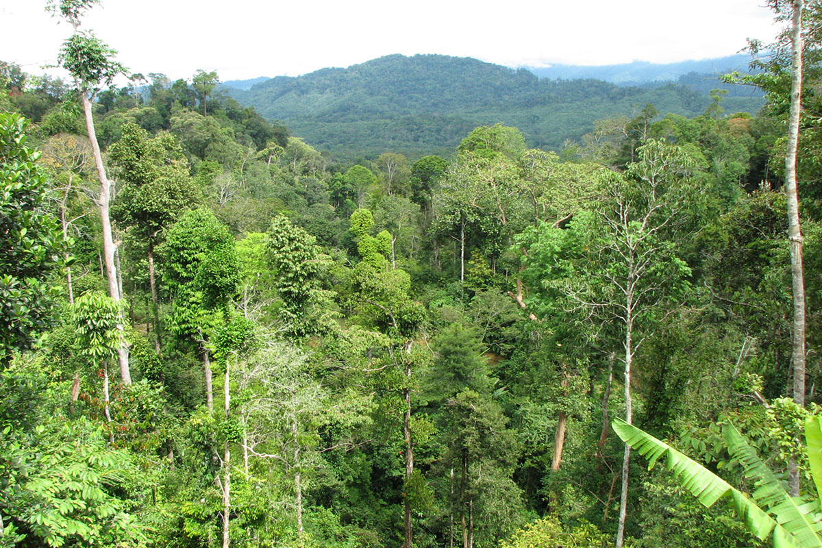 Лонг Мурум, image of landscape/habitat.