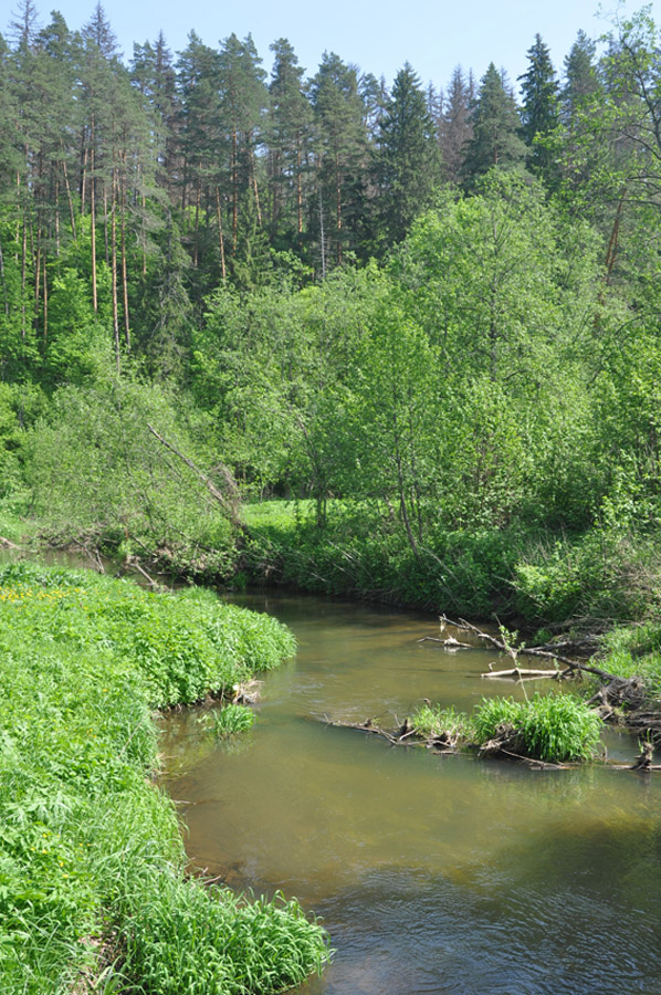 Окрестности города Звенигород, image of landscape/habitat.