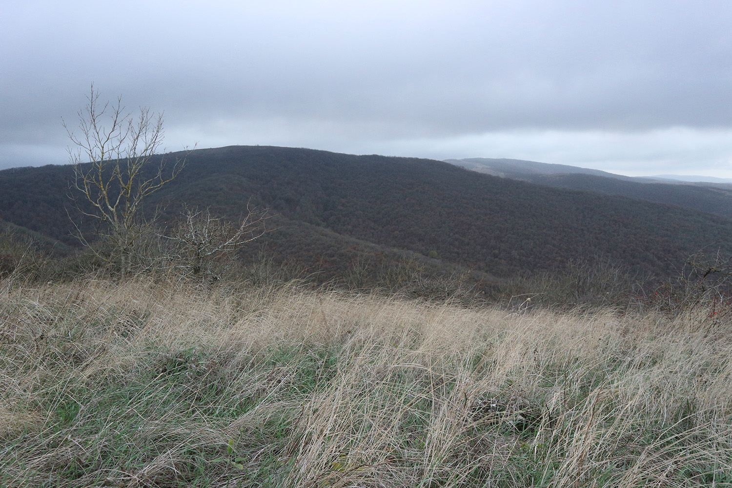 Сапун, image of landscape/habitat.