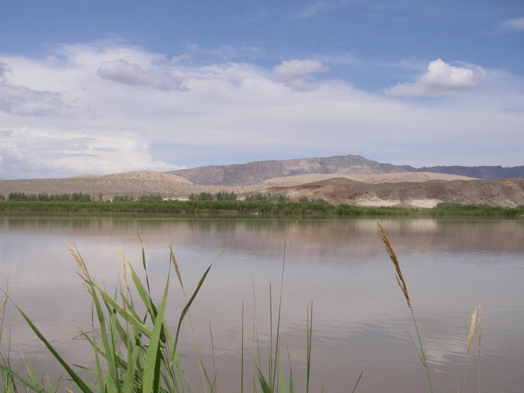 Река Или, выше Капчагая, image of landscape/habitat.