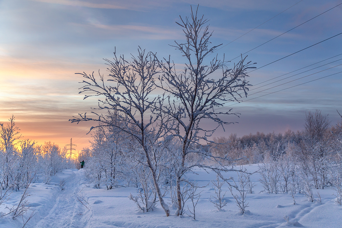 Мурманск, image of landscape/habitat.