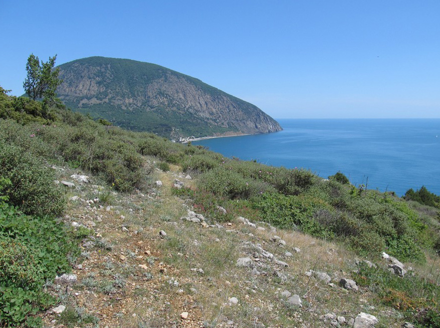 Мёртвая долина, image of landscape/habitat.