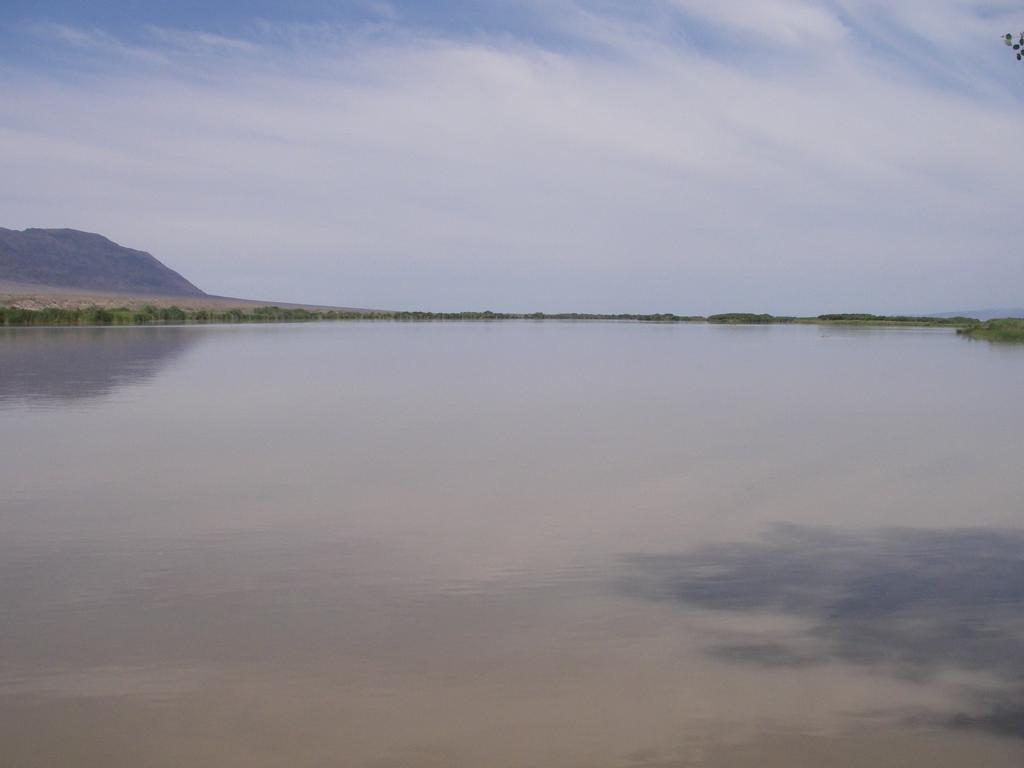 Река Или, выше Капчагая, image of landscape/habitat.