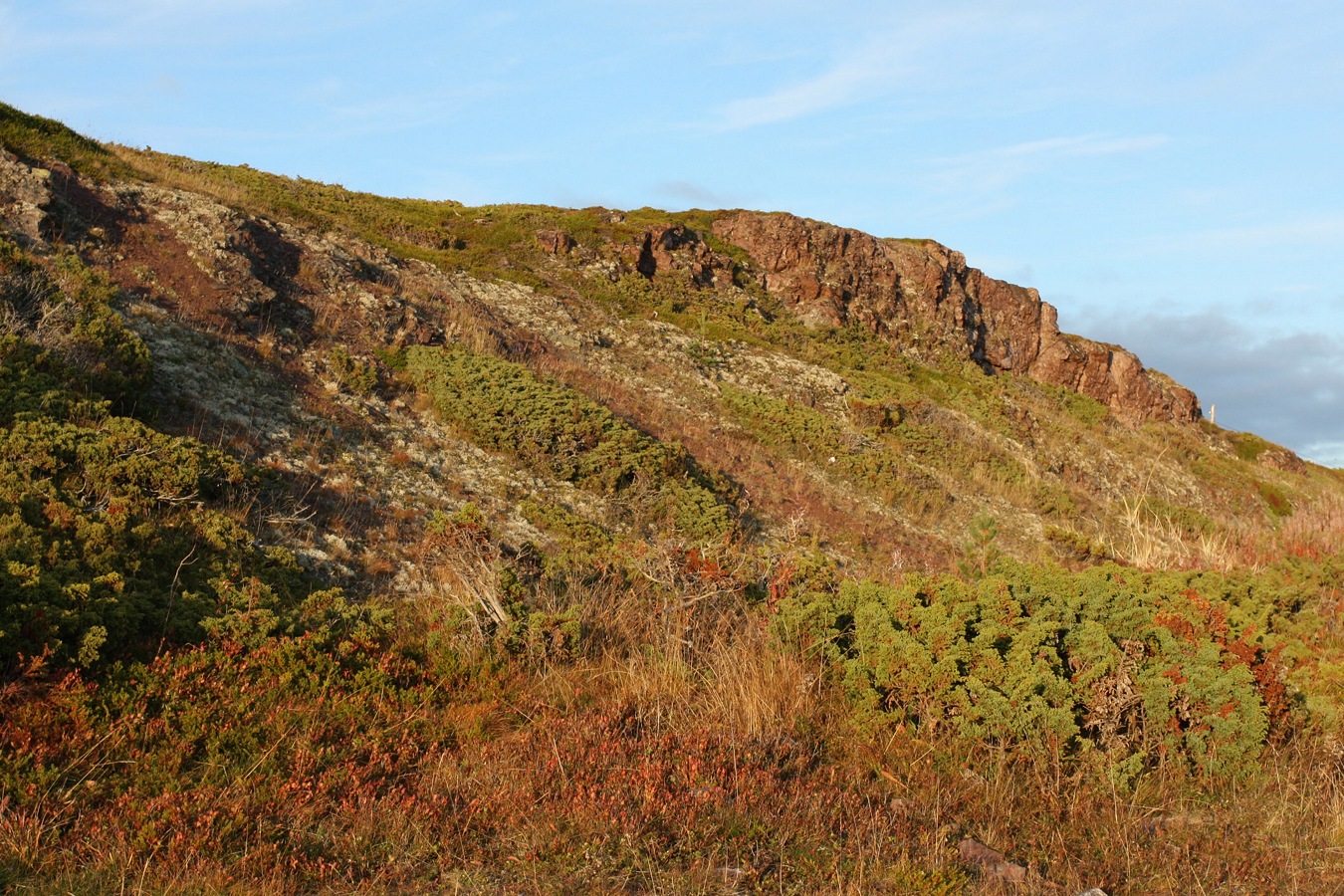 Аметистовый берег, image of landscape/habitat.