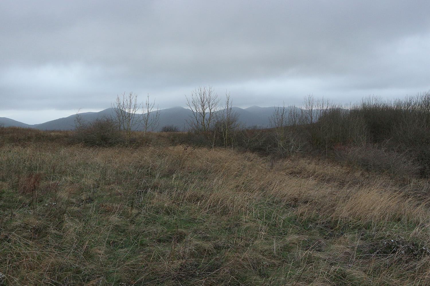 Сапун, image of landscape/habitat.