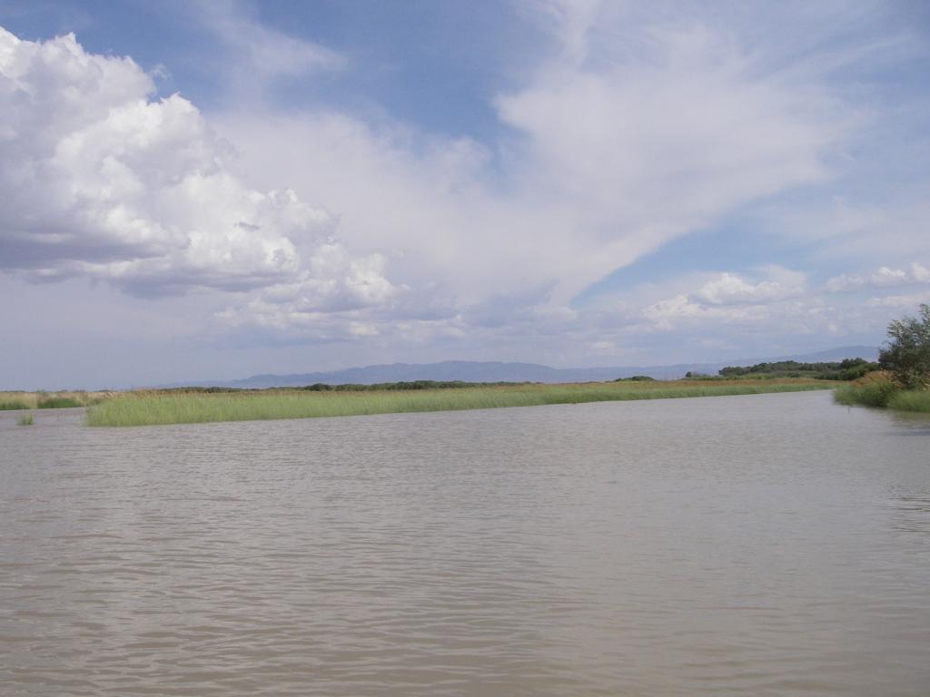 Река Или, выше Капчагая, image of landscape/habitat.