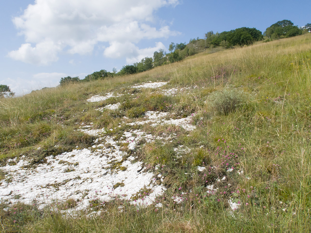 Герпегем, image of landscape/habitat.