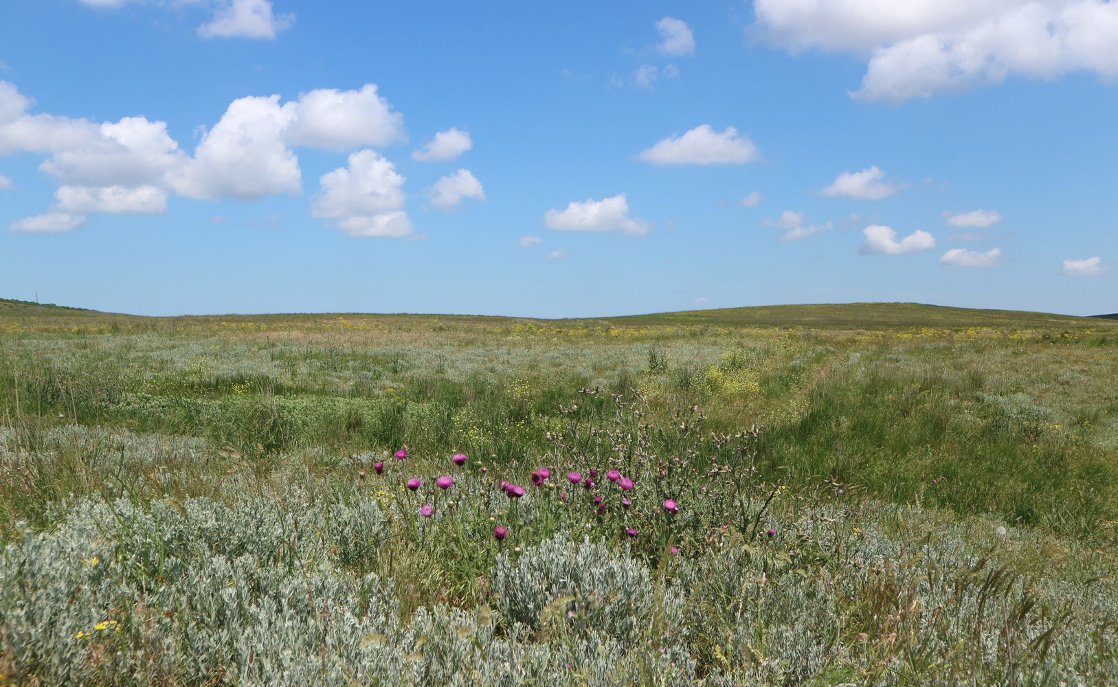 Железный Рог, image of landscape/habitat.