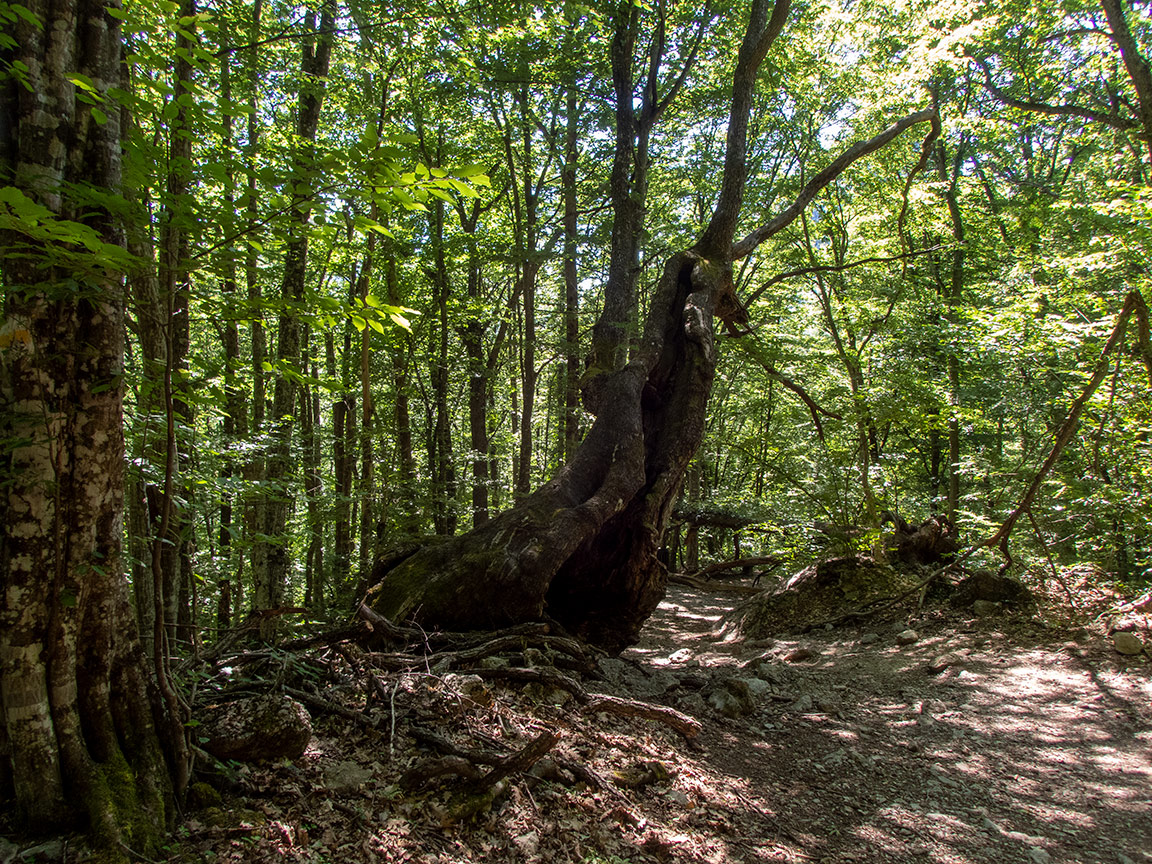 Большой каньон Крыма, image of landscape/habitat.