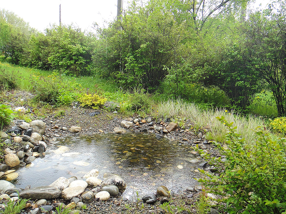 Иркутск, image of landscape/habitat.