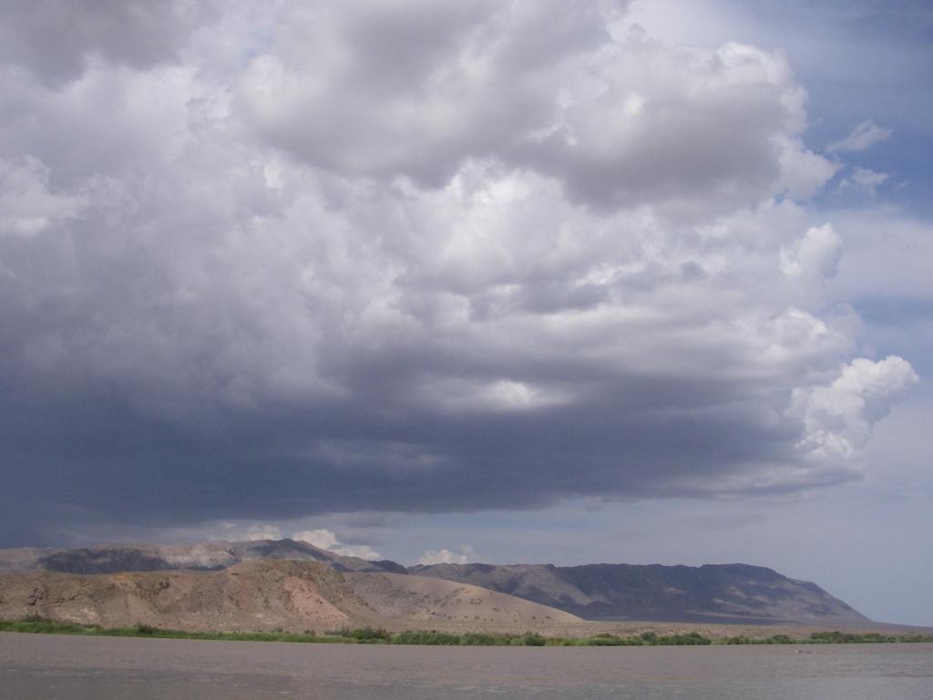 Река Или, выше Капчагая, image of landscape/habitat.