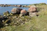 Image of landscape