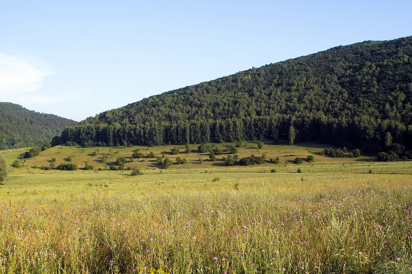 Ширяево, image of landscape/habitat.