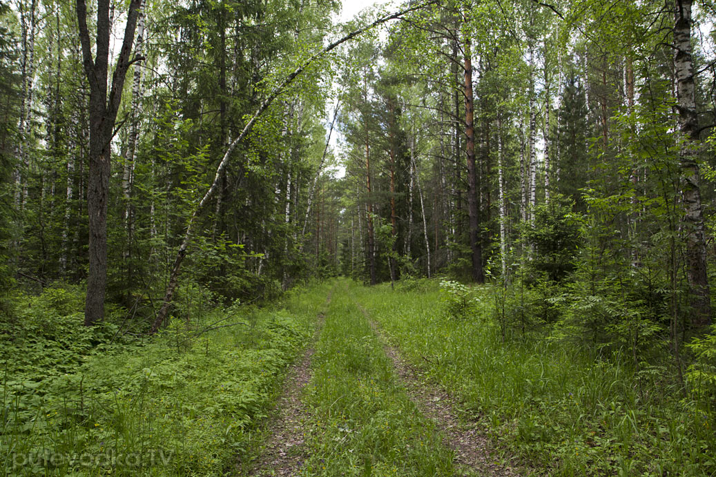 Запрудня, image of landscape/habitat.