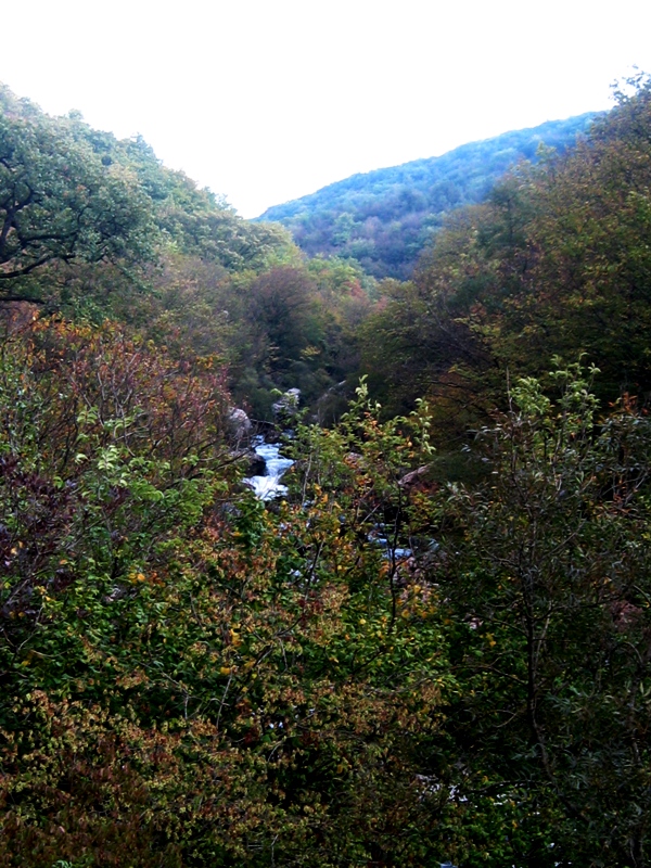 Чернореченский каньон, image of landscape/habitat.