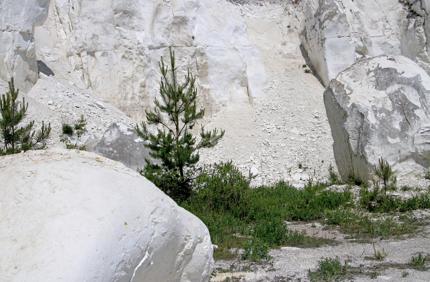 Маломихайловка, image of landscape/habitat.