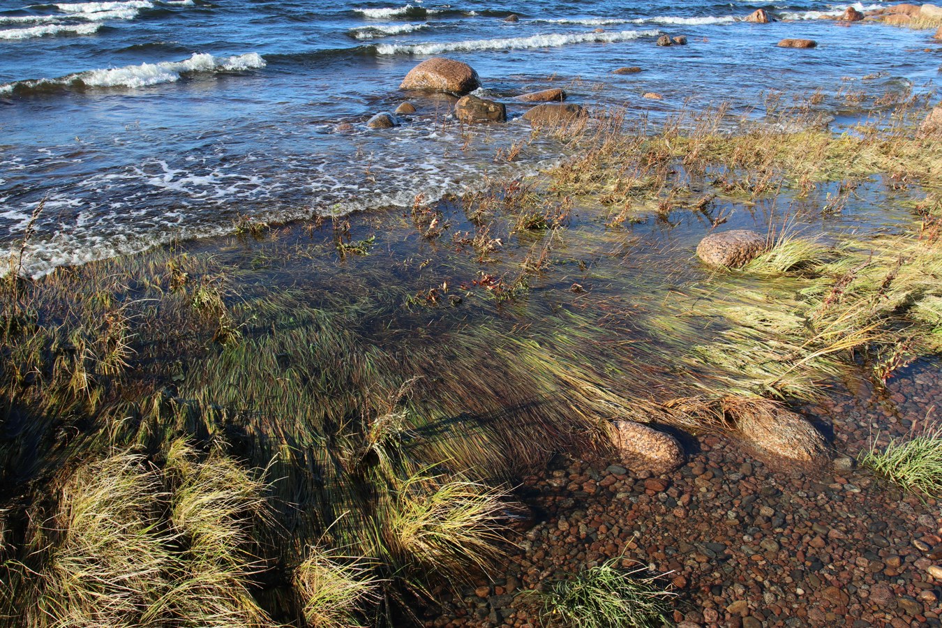 Каравалдай, image of landscape/habitat.