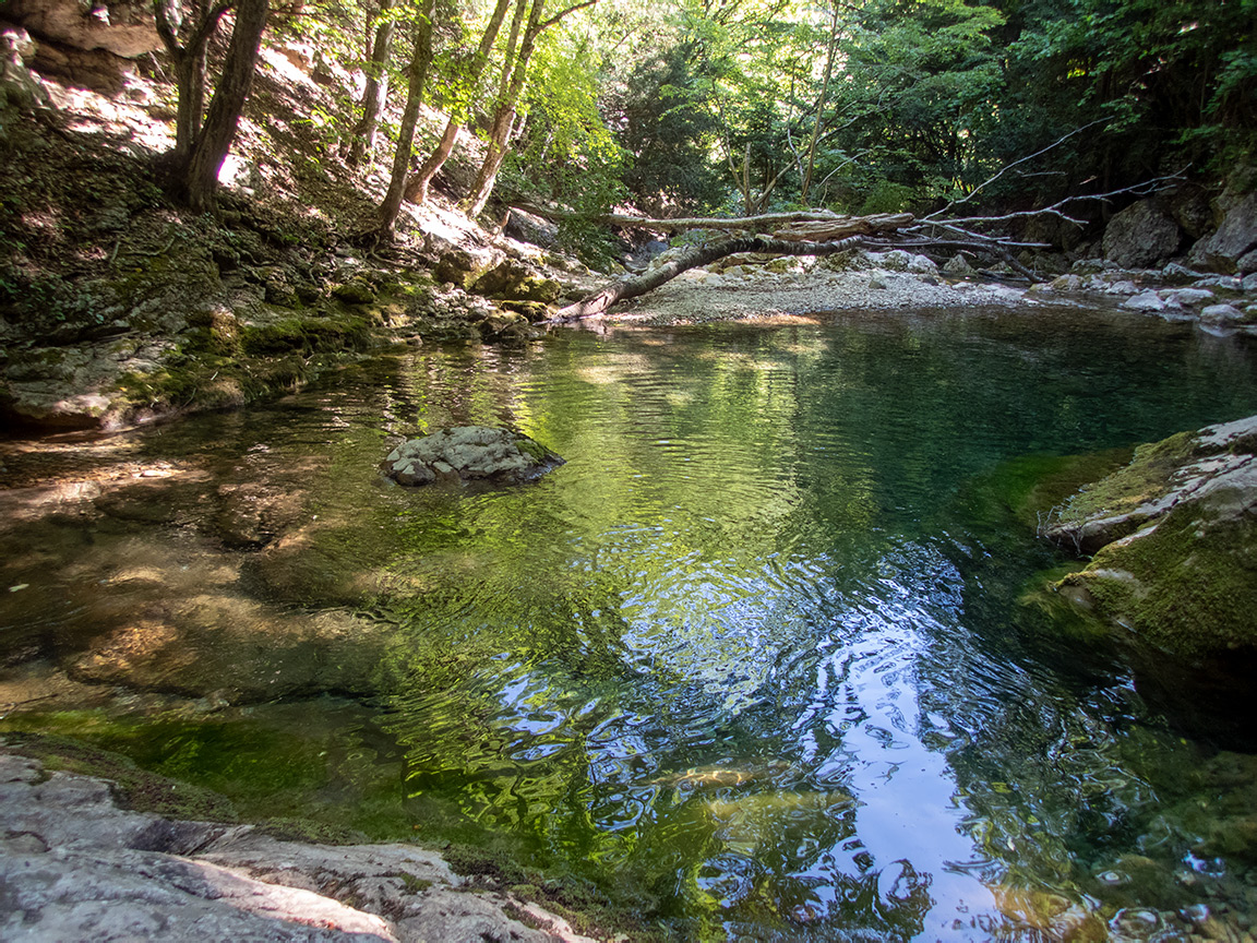 Большой каньон Крыма, image of landscape/habitat.