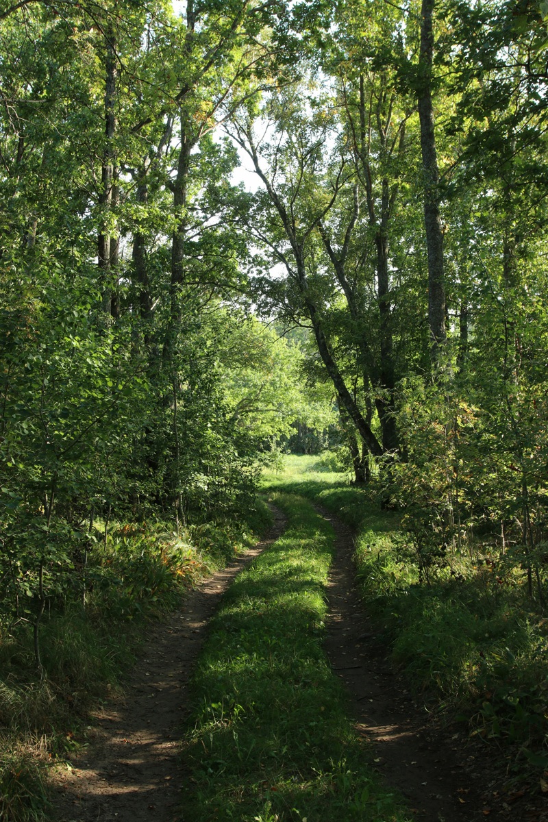 Мыс Дубовский, image of landscape/habitat.