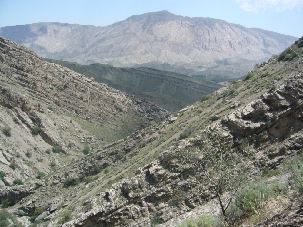 Копетдаг, Чули (Гокдере), image of landscape/habitat.