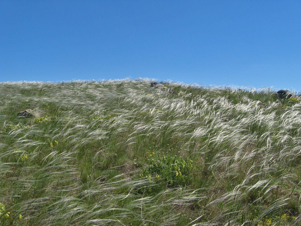 Карадаг, image of landscape/habitat.