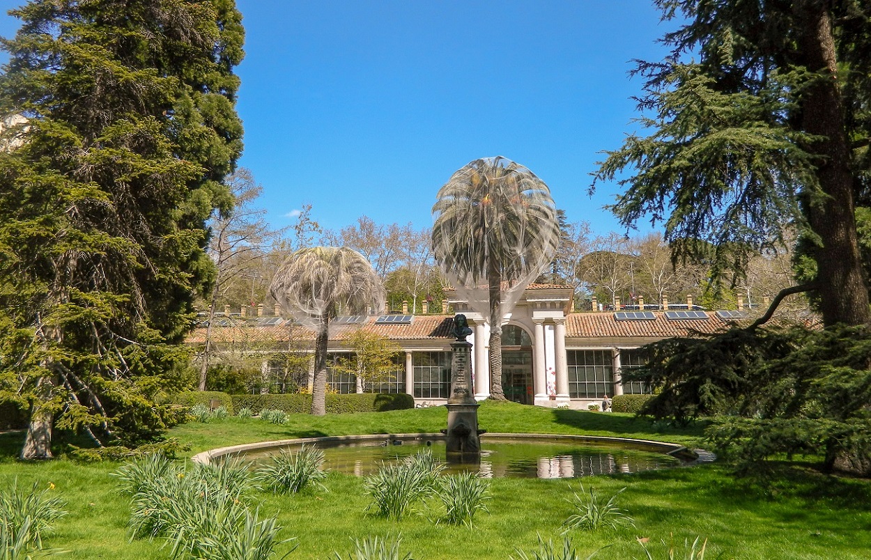 Королевский Ботанический сад, изображение ландшафта.