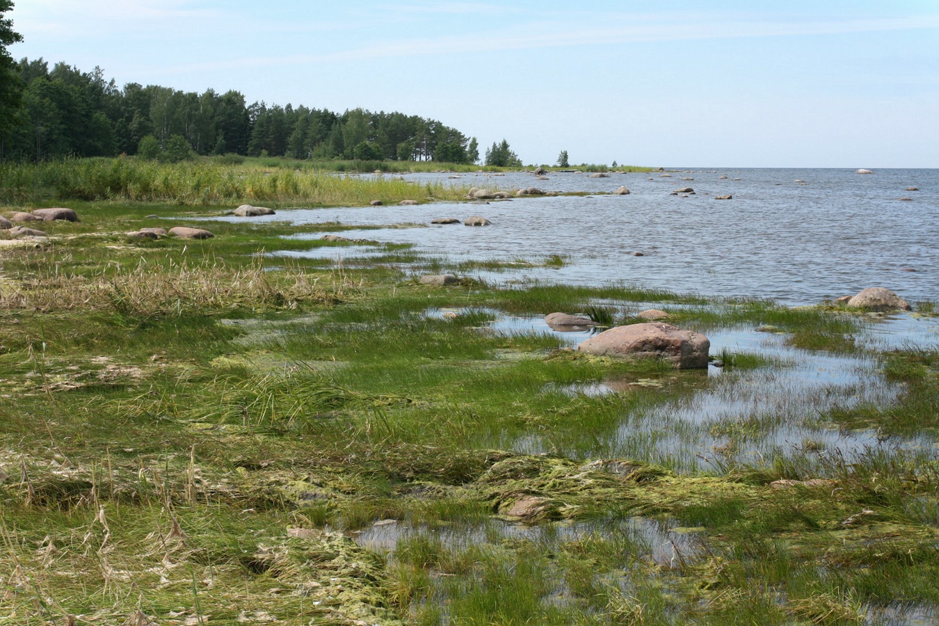 Кандикюля, image of landscape/habitat.