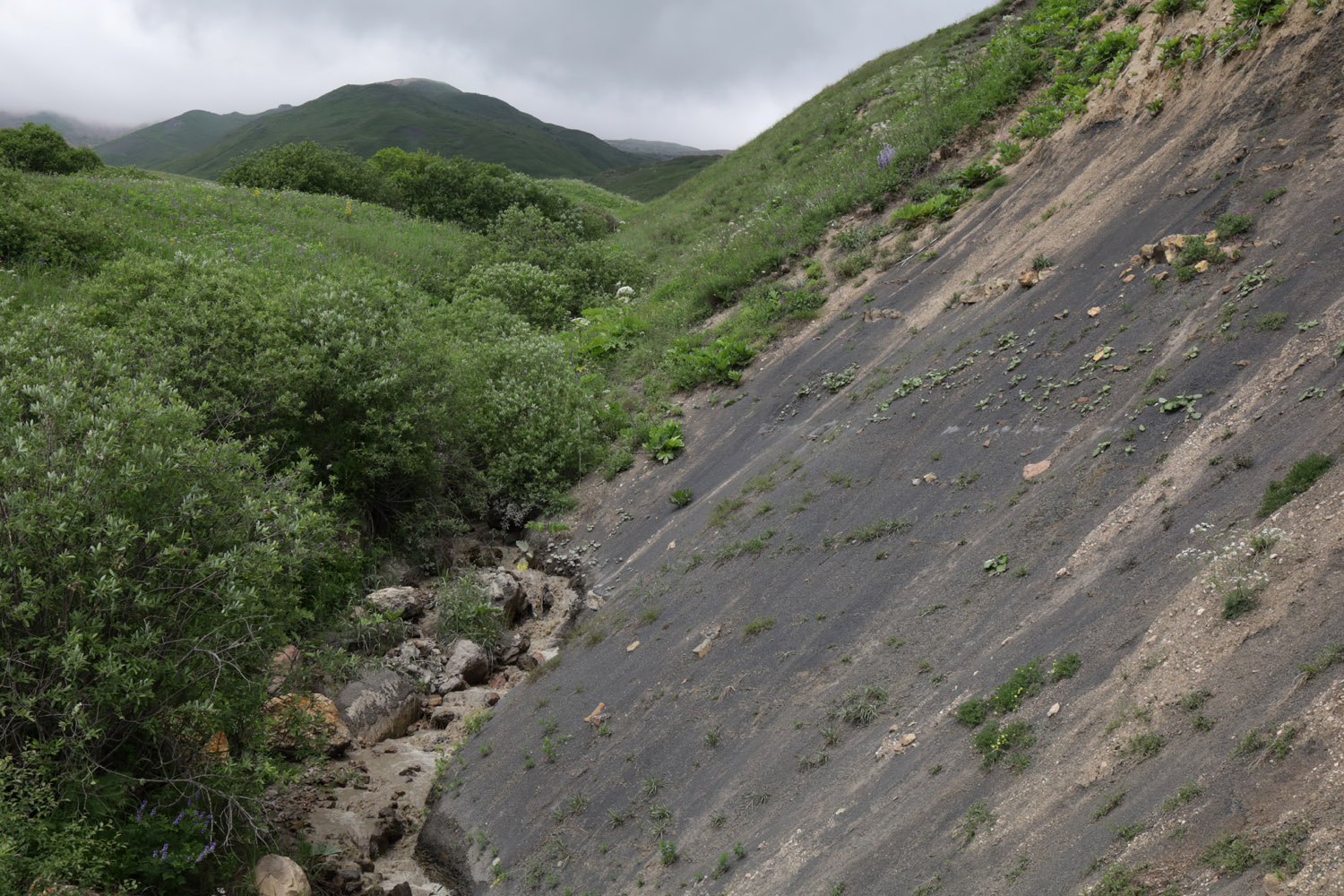 Текипиркент, image of landscape/habitat.