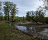 Янтышево и окрестности, image of landscape/habitat.