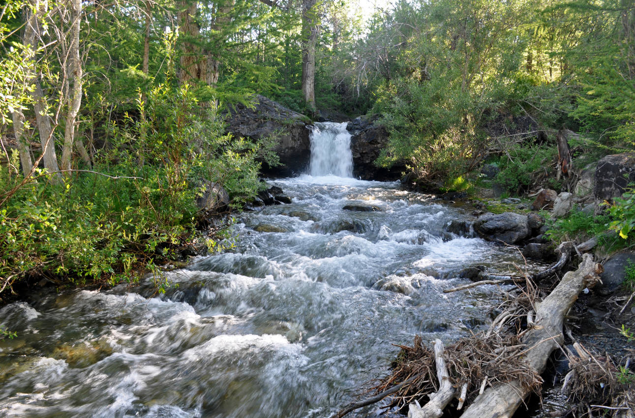 Устье реки Тыдтугем, image of landscape/habitat.