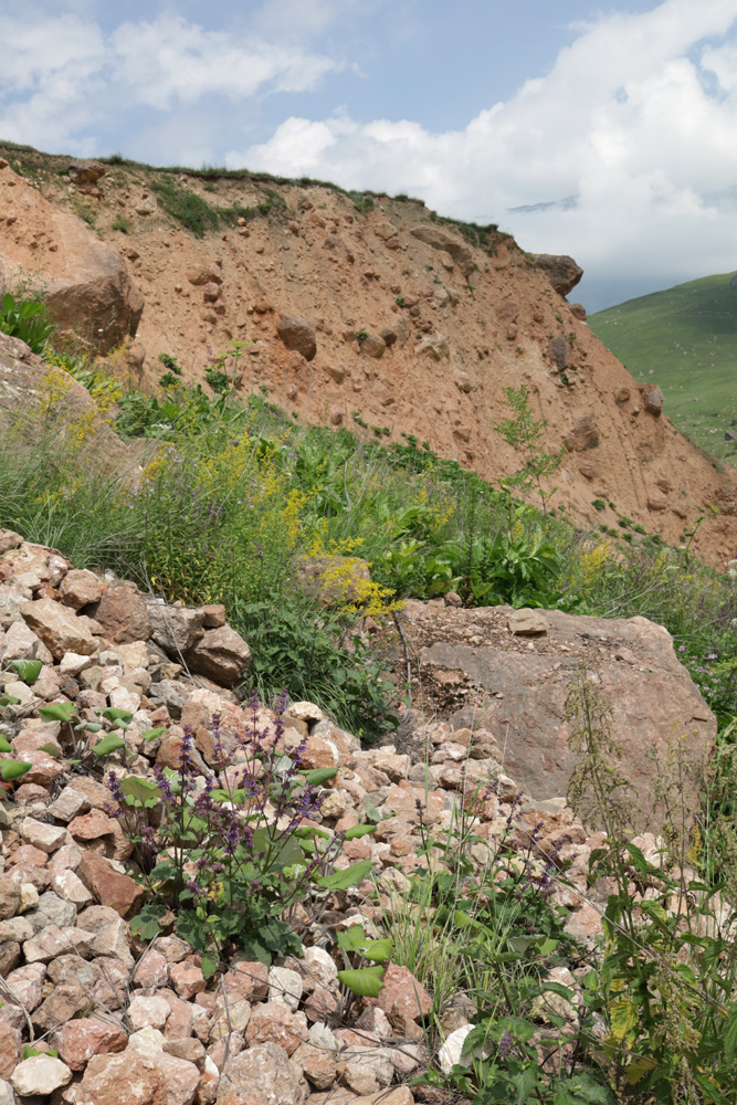 Текипиркент, image of landscape/habitat.