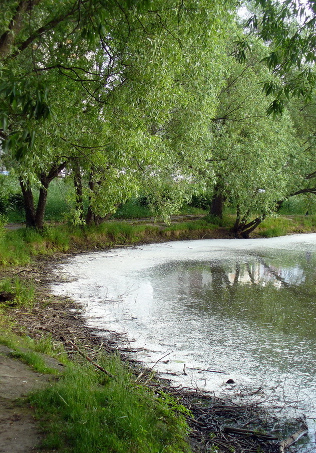 Парк в посёлке Нефтестрой, image of landscape/habitat.