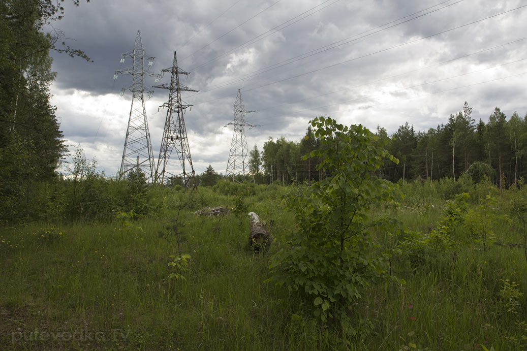 Запрудня, image of landscape/habitat.