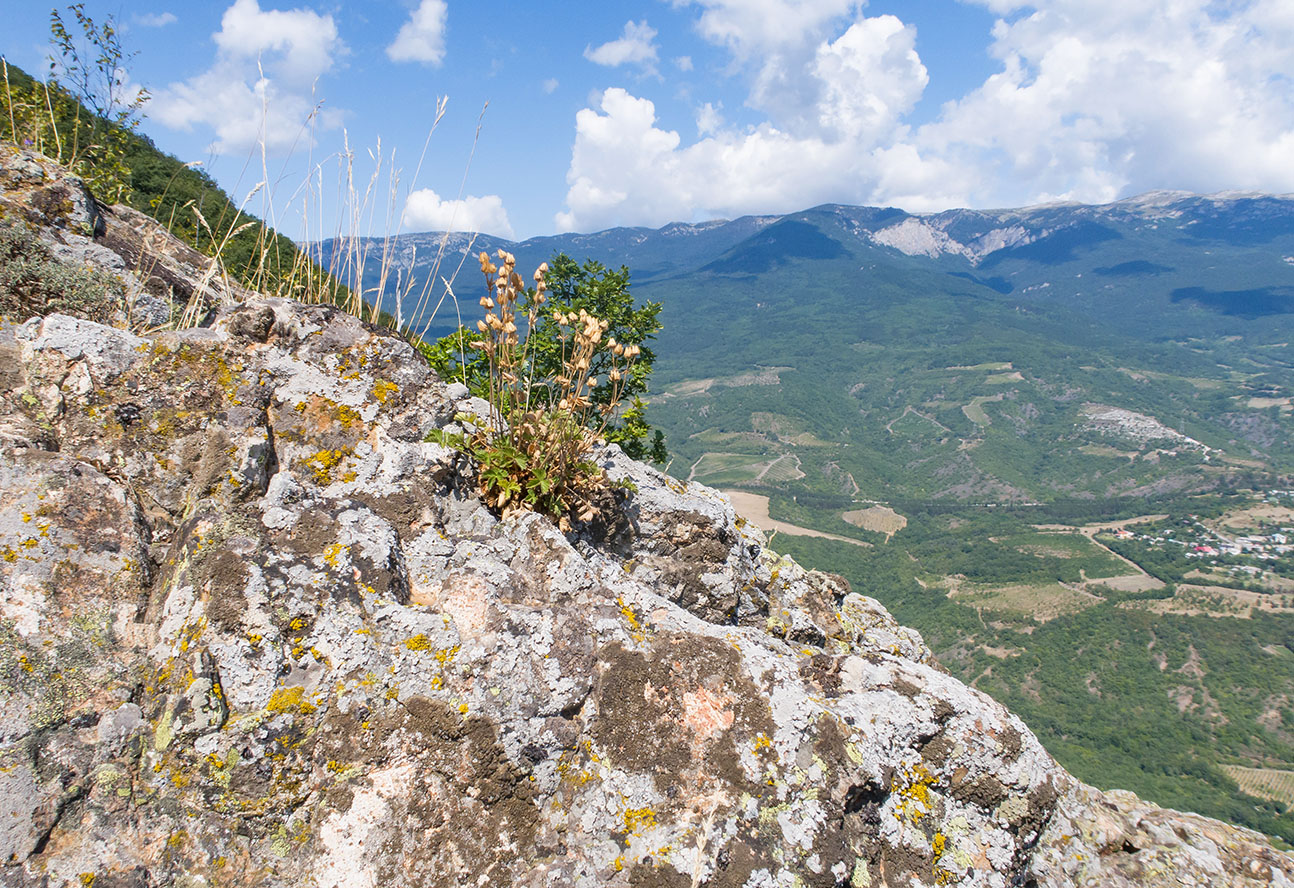 Аюдаг, image of landscape/habitat.