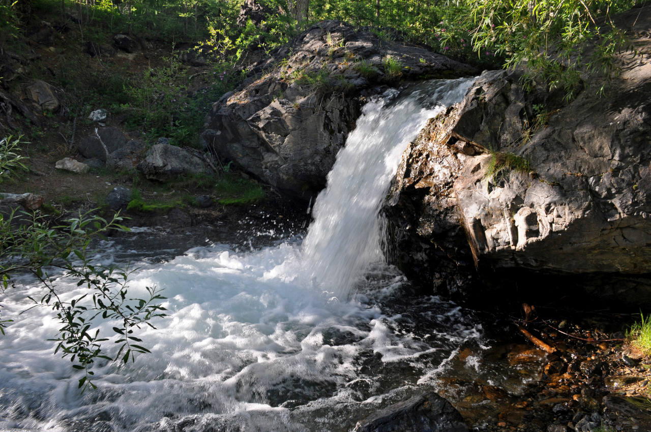 Устье реки Тыдтугем, image of landscape/habitat.