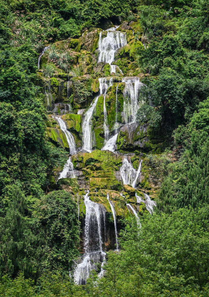 Синпин, image of landscape/habitat.