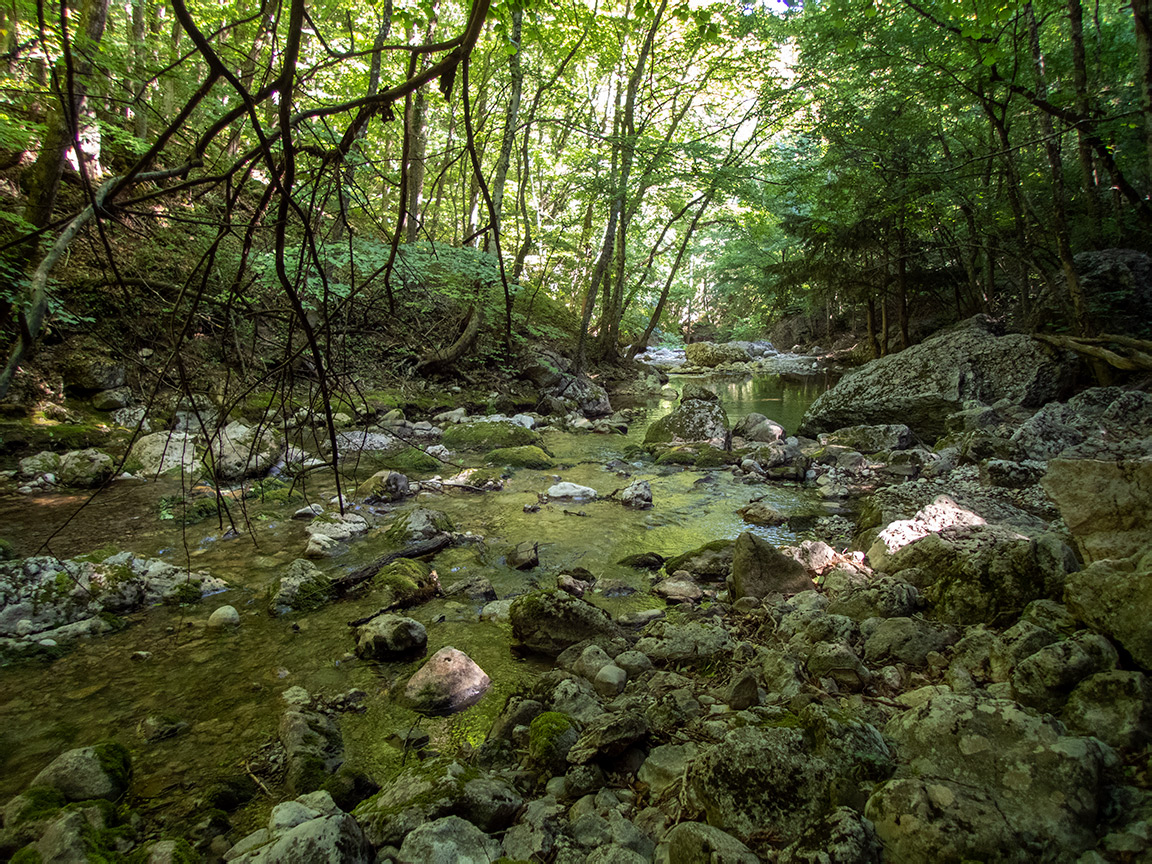 Большой каньон Крыма, image of landscape/habitat.