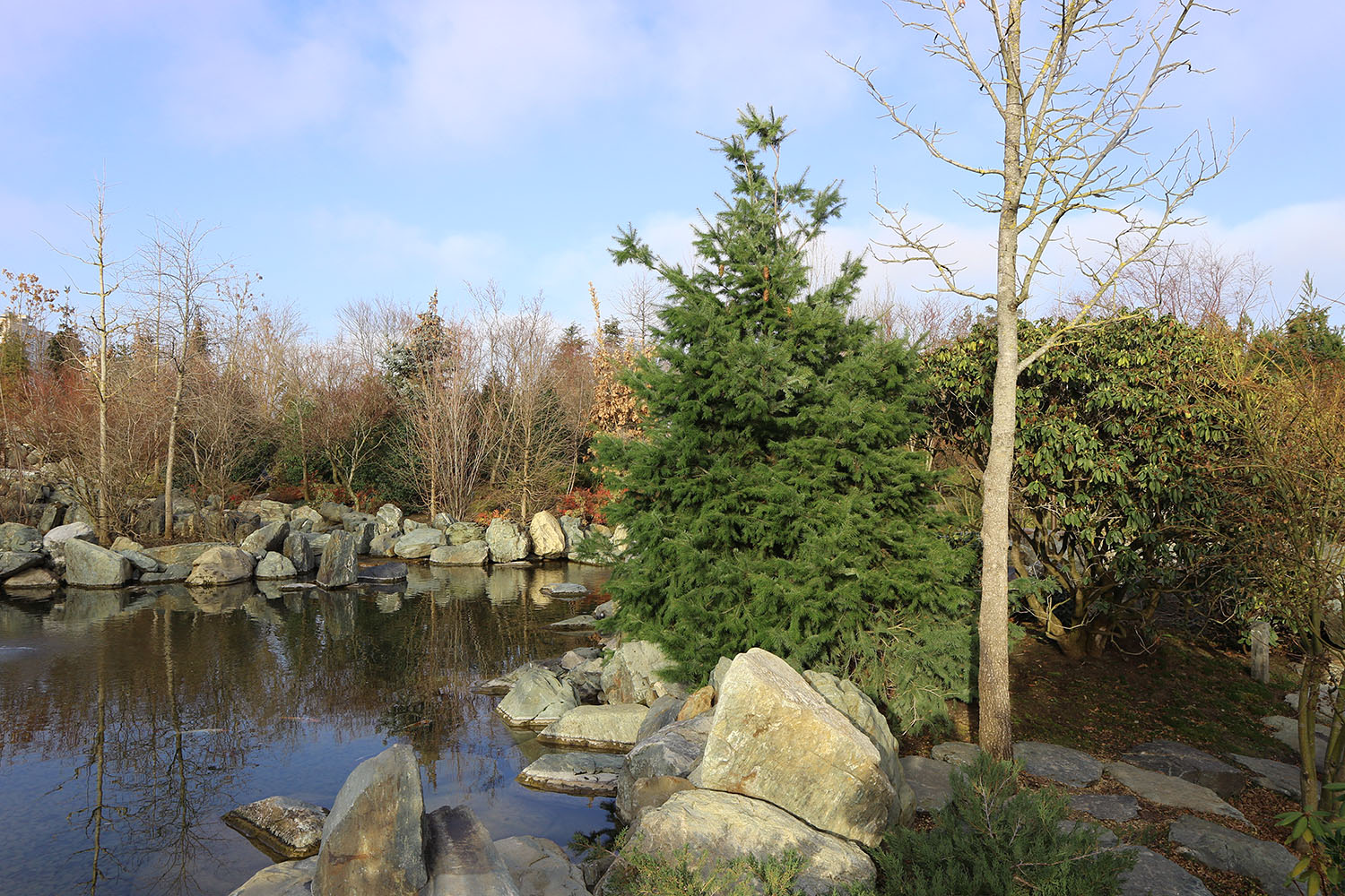 Японский сад в парке Галицкого, image of landscape/habitat.