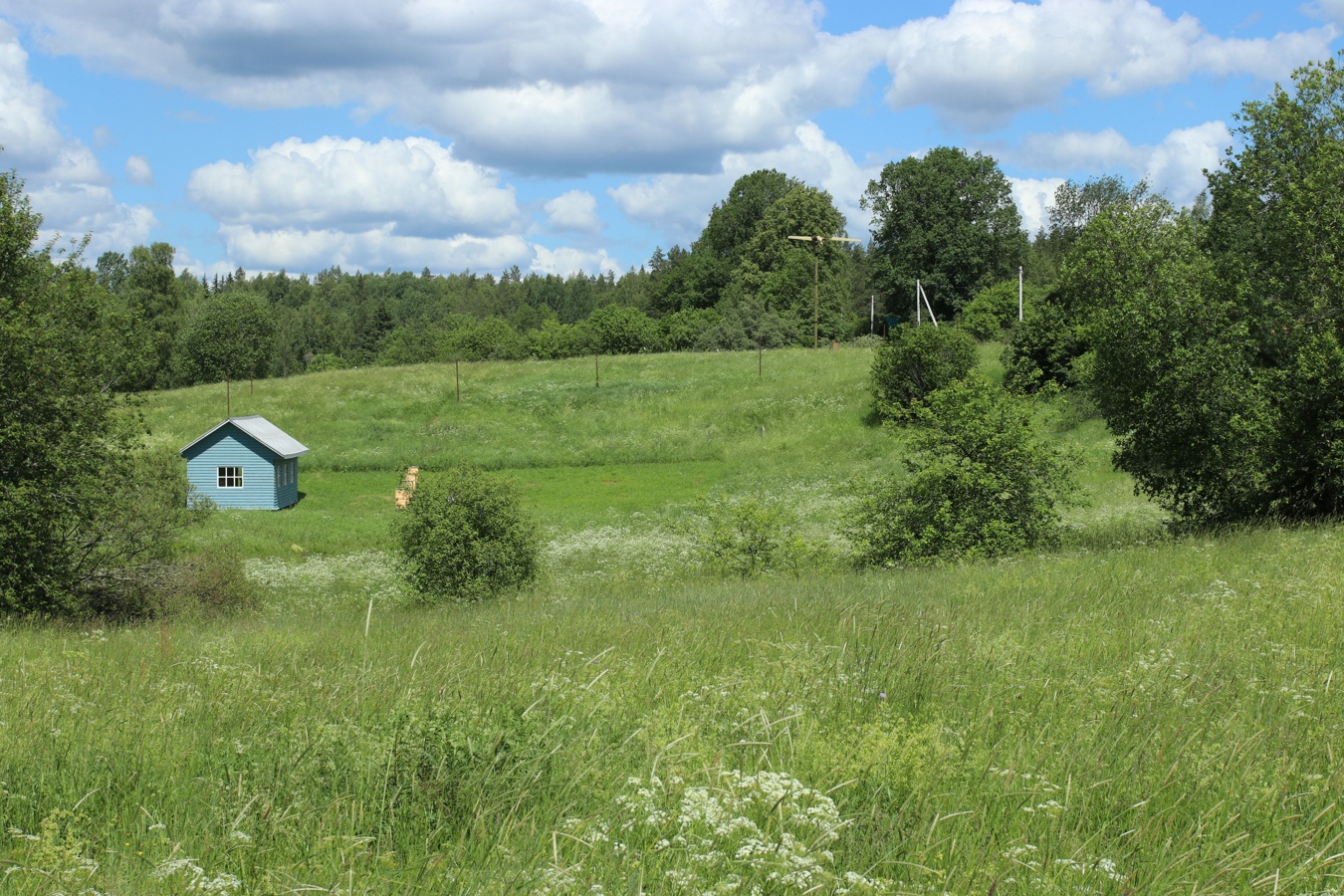 Окрестности Кемки, image of landscape/habitat.