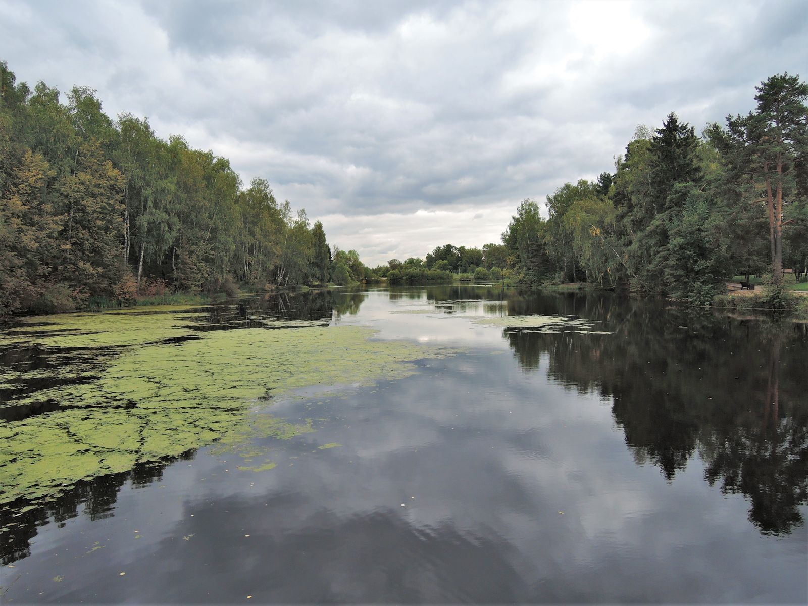 Захарово, image of landscape/habitat.