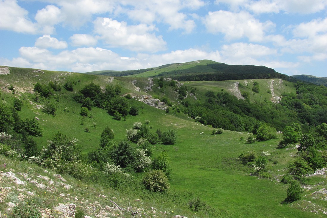 Долгоруковская яйла, image of landscape/habitat.