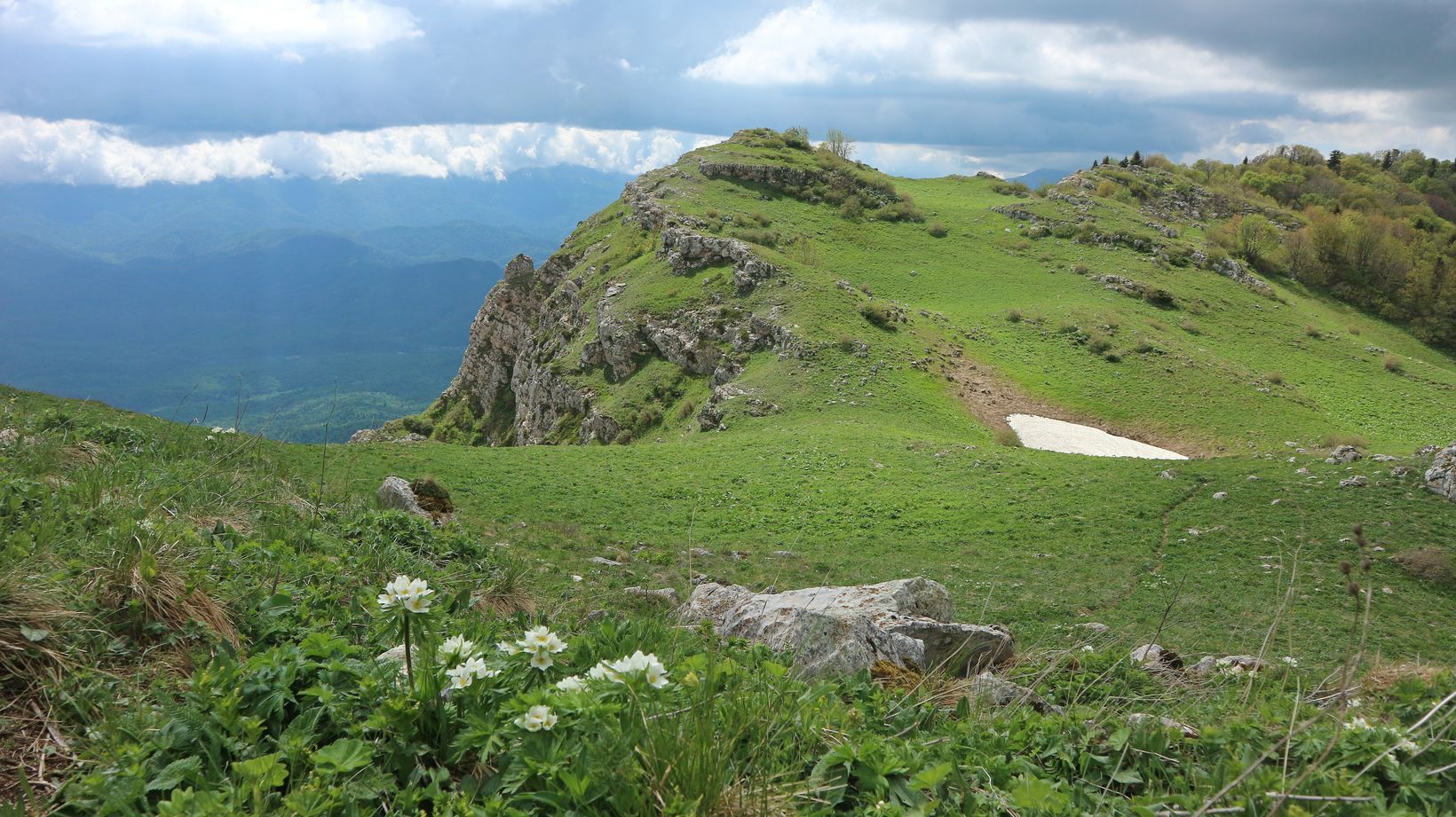 Черногор, image of landscape/habitat.