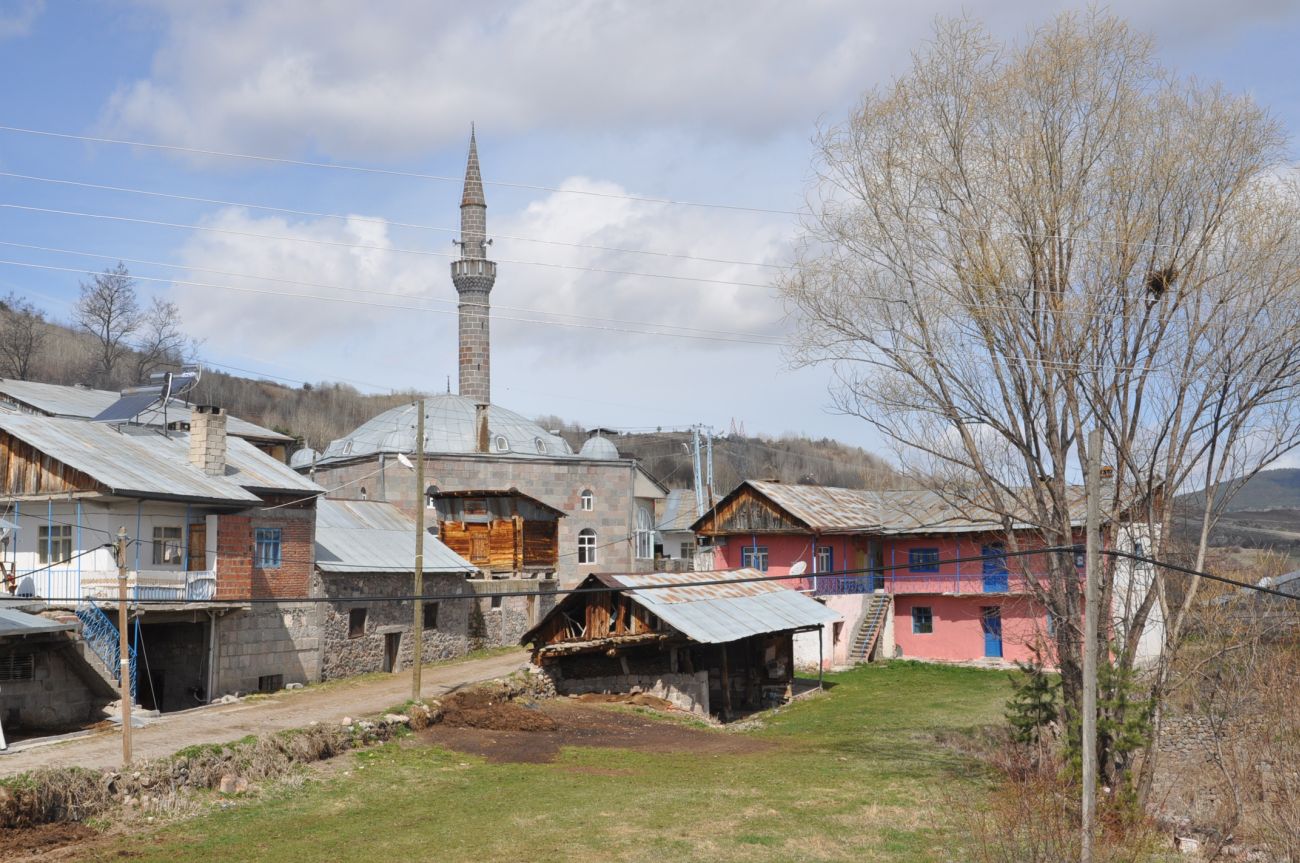 Чильвана, image of landscape/habitat.