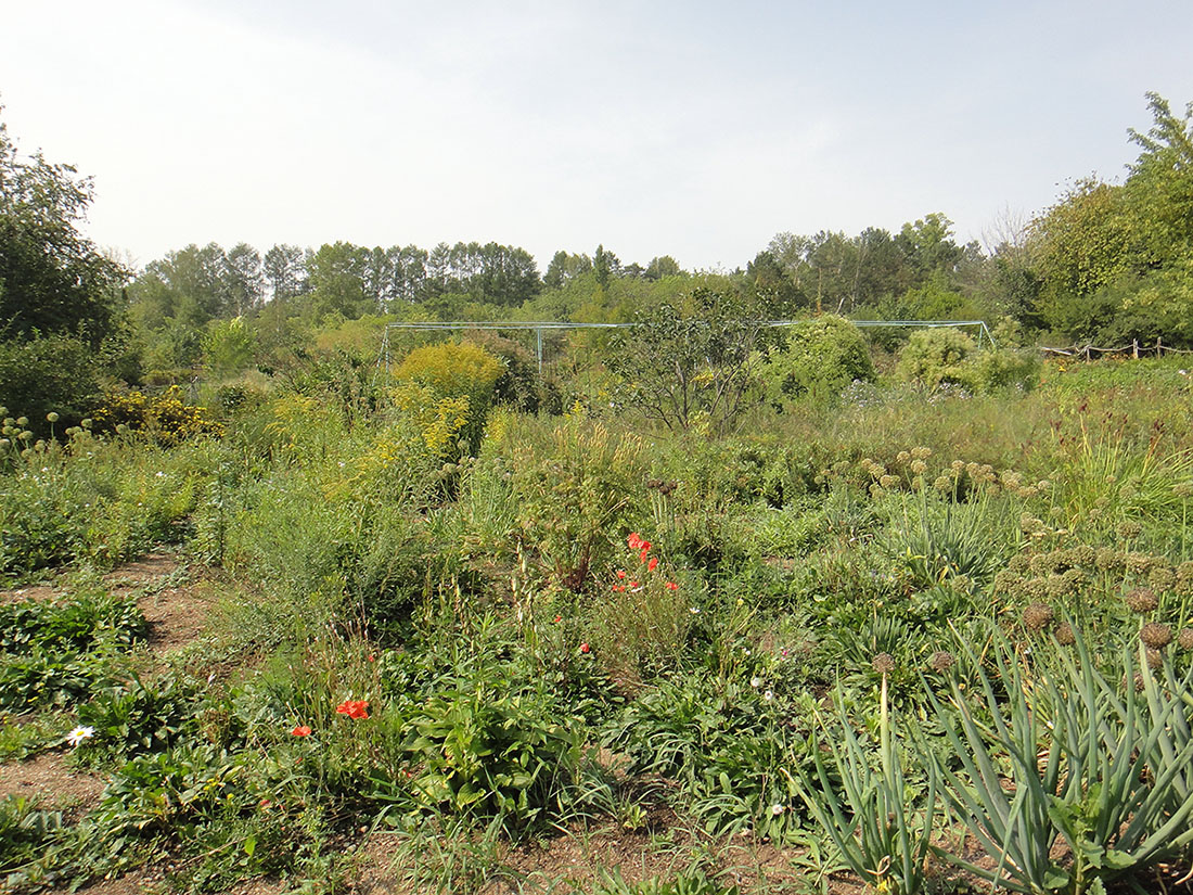 Иркутск, image of landscape/habitat.