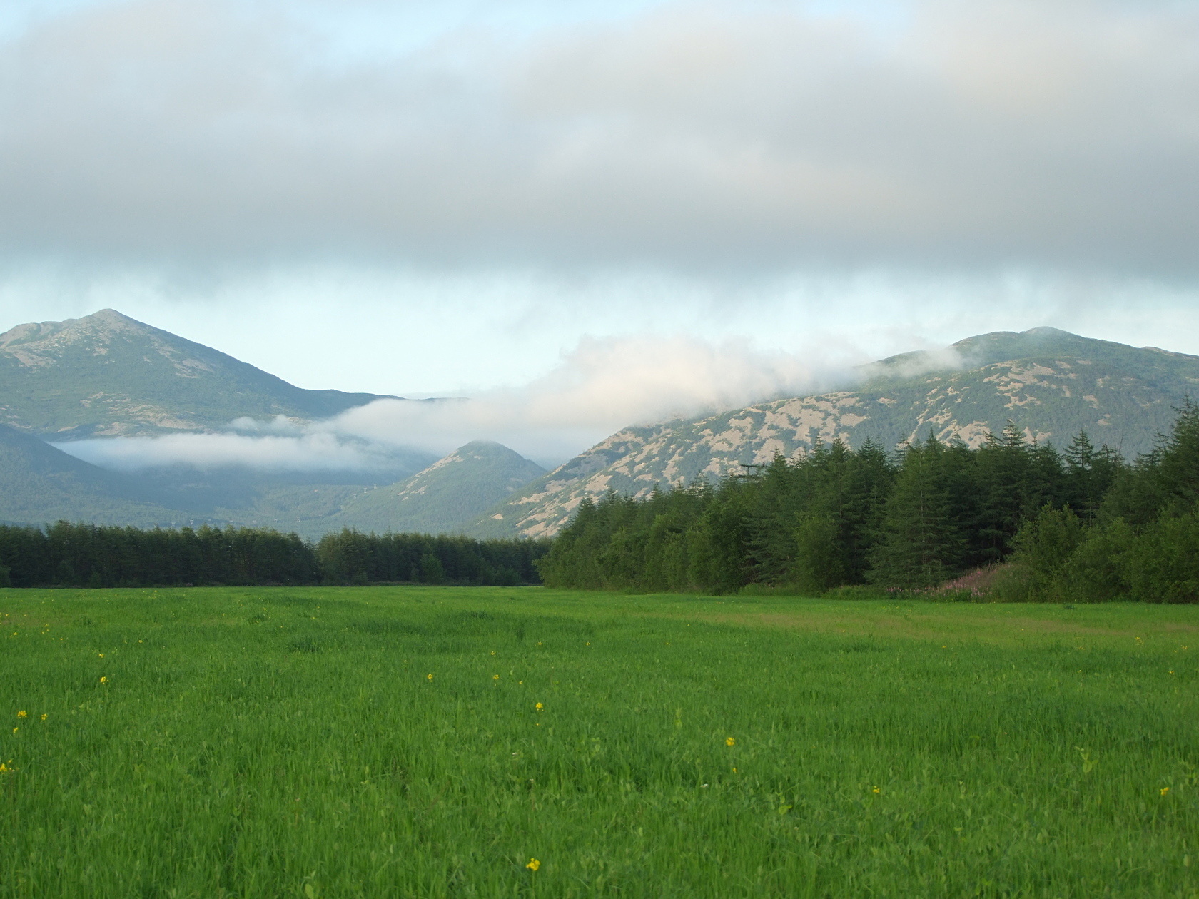 Арманское побережье, image of landscape/habitat.