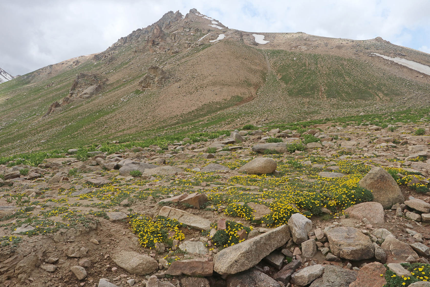 Перевал Даван, image of landscape/habitat.