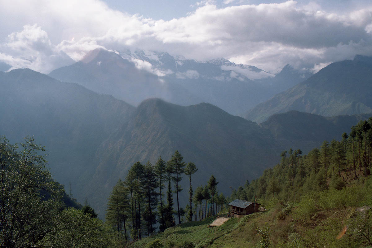 Лангтанг, image of landscape/habitat.